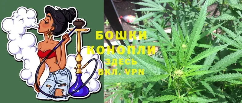 hydra ССЫЛКА  Прокопьевск  Шишки марихуана Ganja  дарнет шоп 